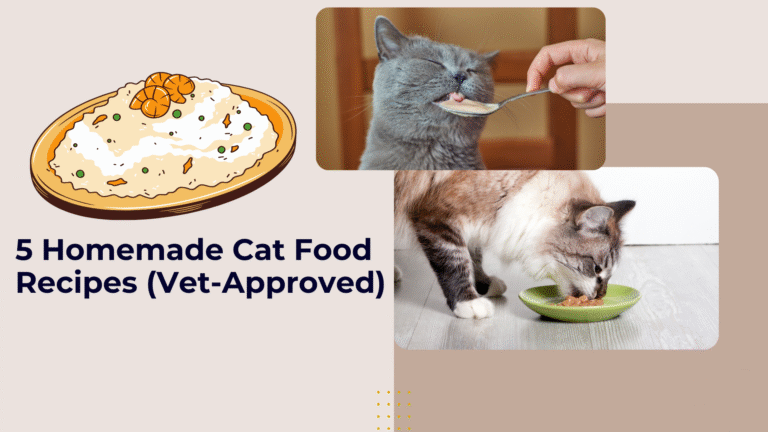 Homemade cat food in a bowl with fresh chicken, pumpkin, and vegetables for a healthy feline diet