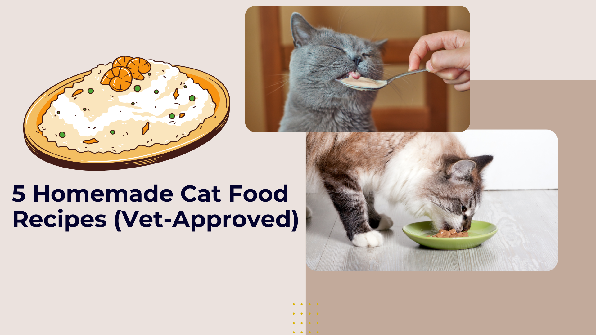 Homemade cat food in a bowl with fresh chicken, pumpkin, and vegetables for a healthy feline diet