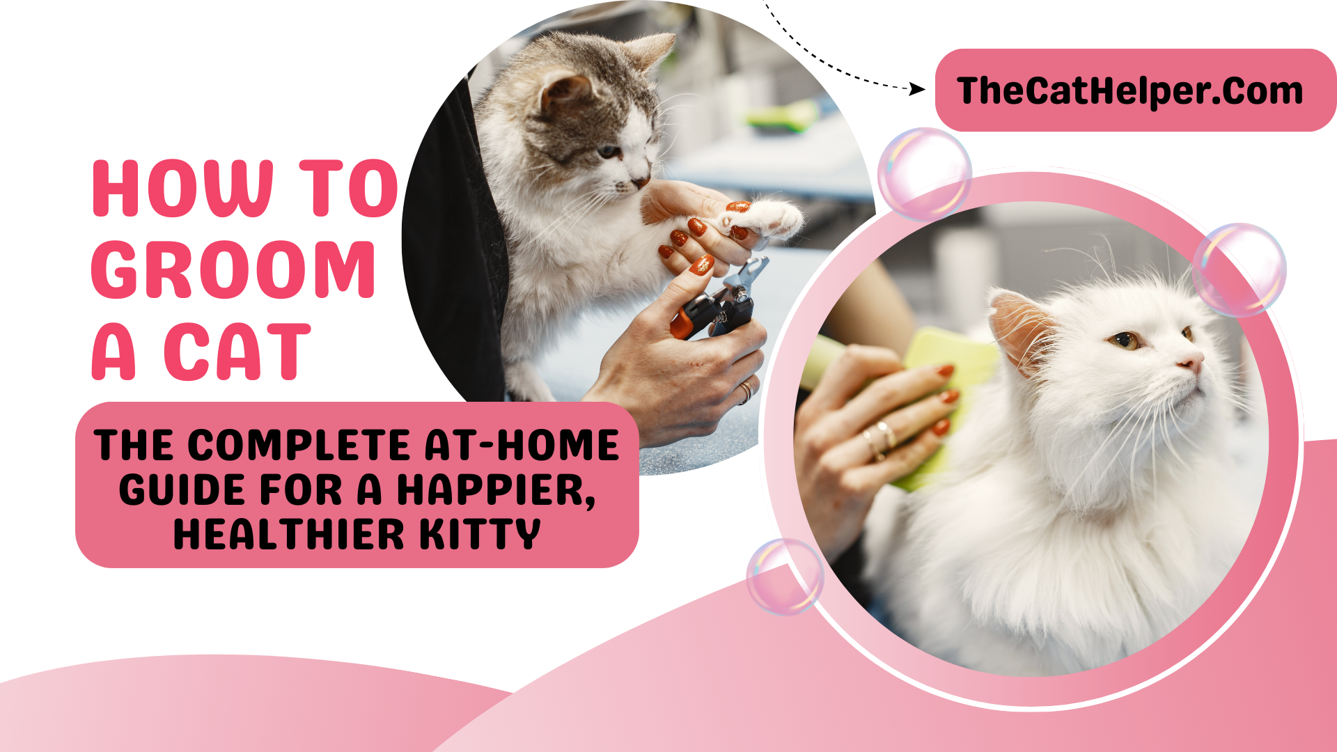 How to groom a cat at home with safe, gentle brushing for healthy fur and a happy pet